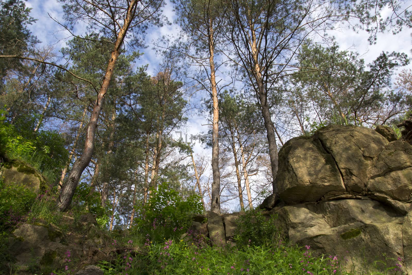 Lake in the stone canyon surrounded by forest by Irene1601