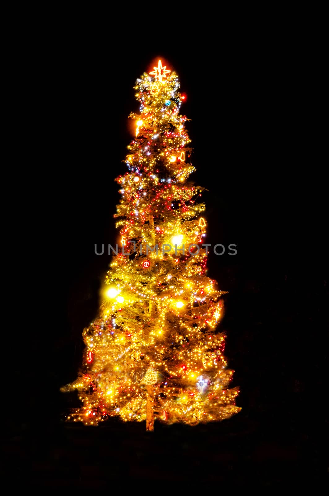 Christmas Tree Lights by mitakag