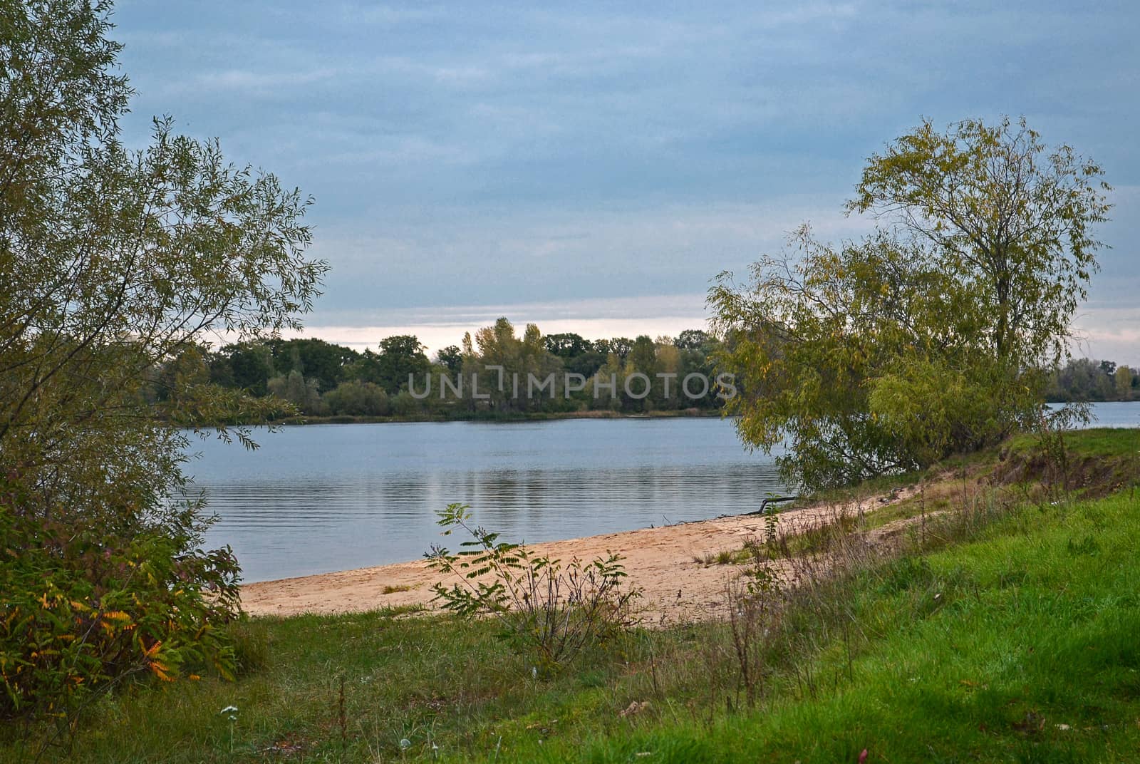 Bend of the river in a forest in the rays of the setting sun