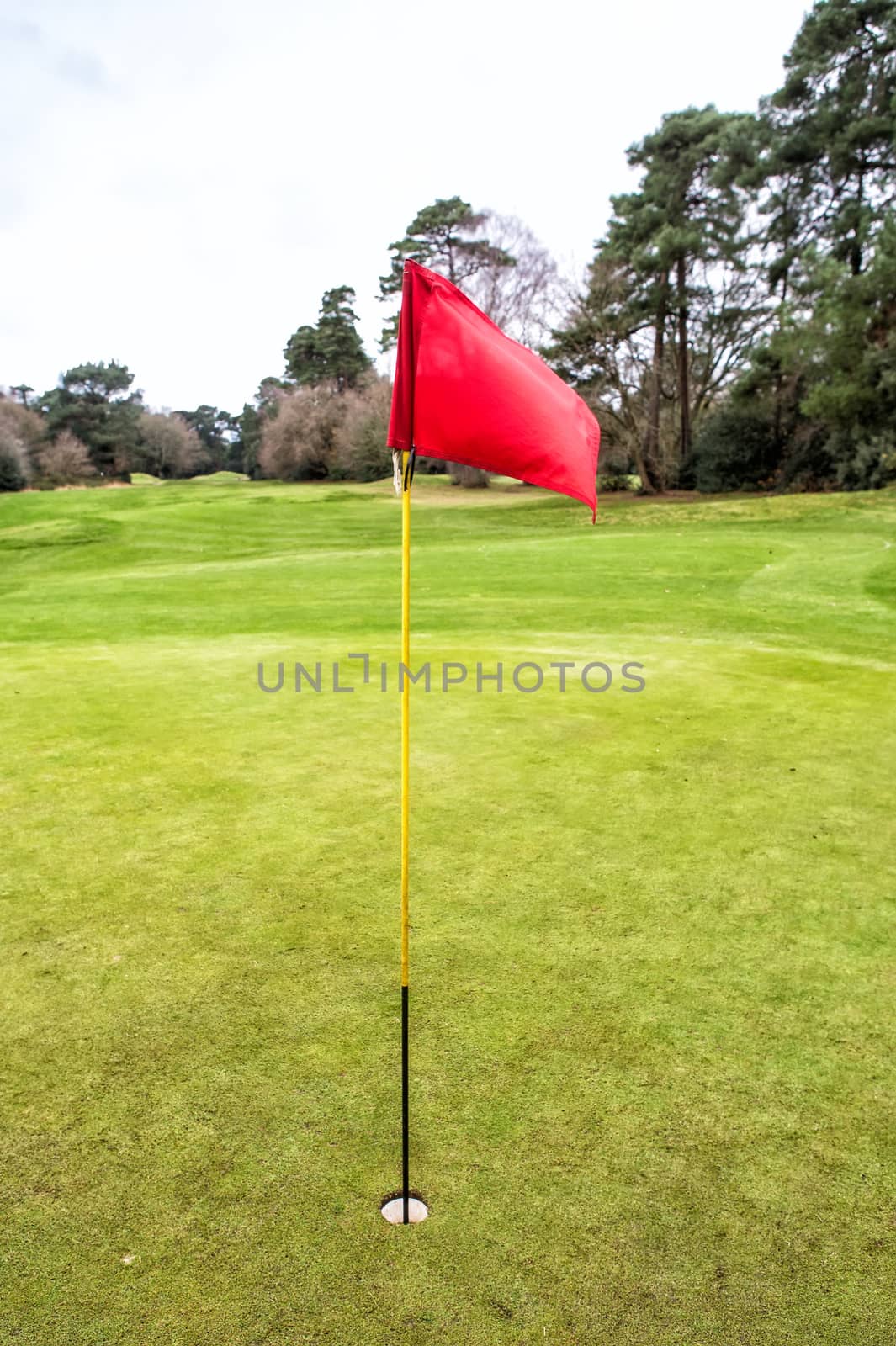 Golf field with red flag by mitakag