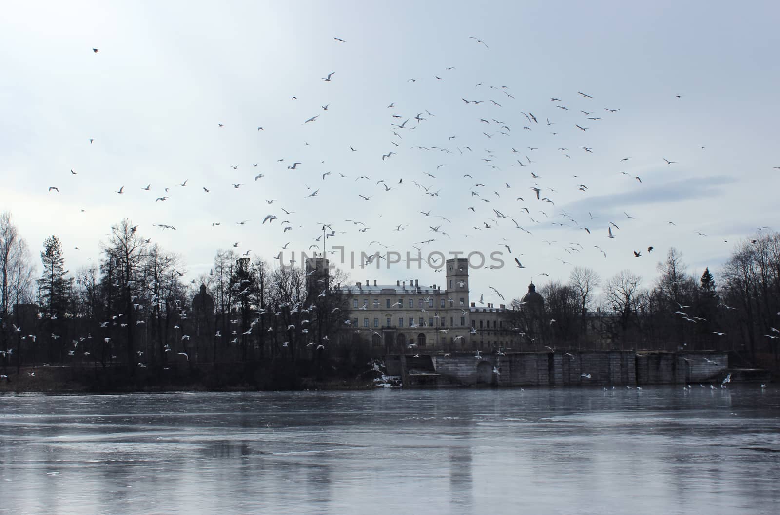 Gatchina Palace and the White Lake in the spring, in March 2016. Leningrad Region, Gatchina park.