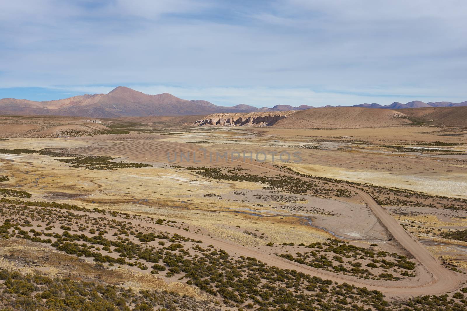 Large open plain created by the River Lauca in Lauca National Park, high up in the Altiplano of northern Chile. The area is used by local people for grazing Alpaca and Llama.