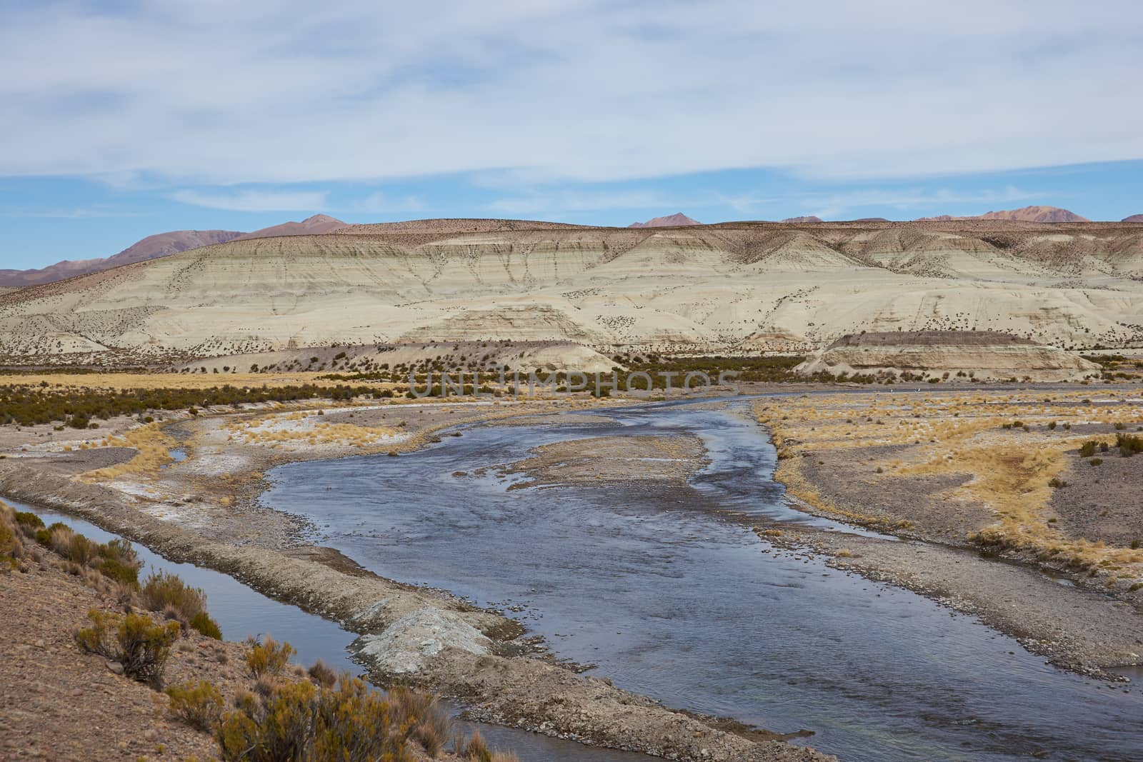 River Lauca running across the Altiplano of northern Chile in Vicunas National Park.