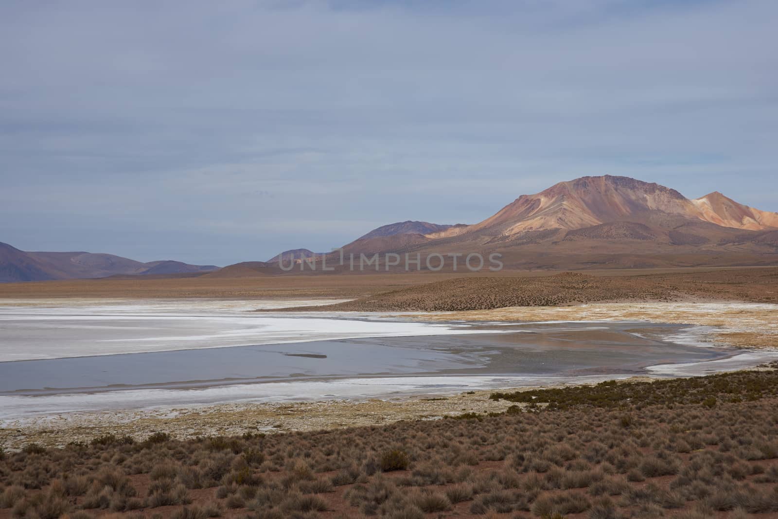 Salar de Surire, a salt lake over 4,000 metres high on the Altiplano of northern Chile in Vicunas National Park.