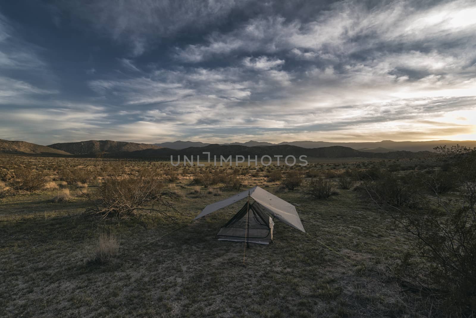 Camping in the Anza-Borrego Desert, California, USA