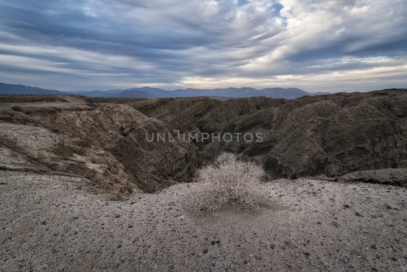Desert Landscape in the Anza-Borrego Desert, California,  USA