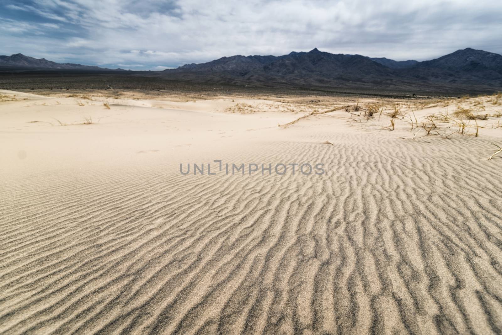 Mojave Desert, California by patricklienin