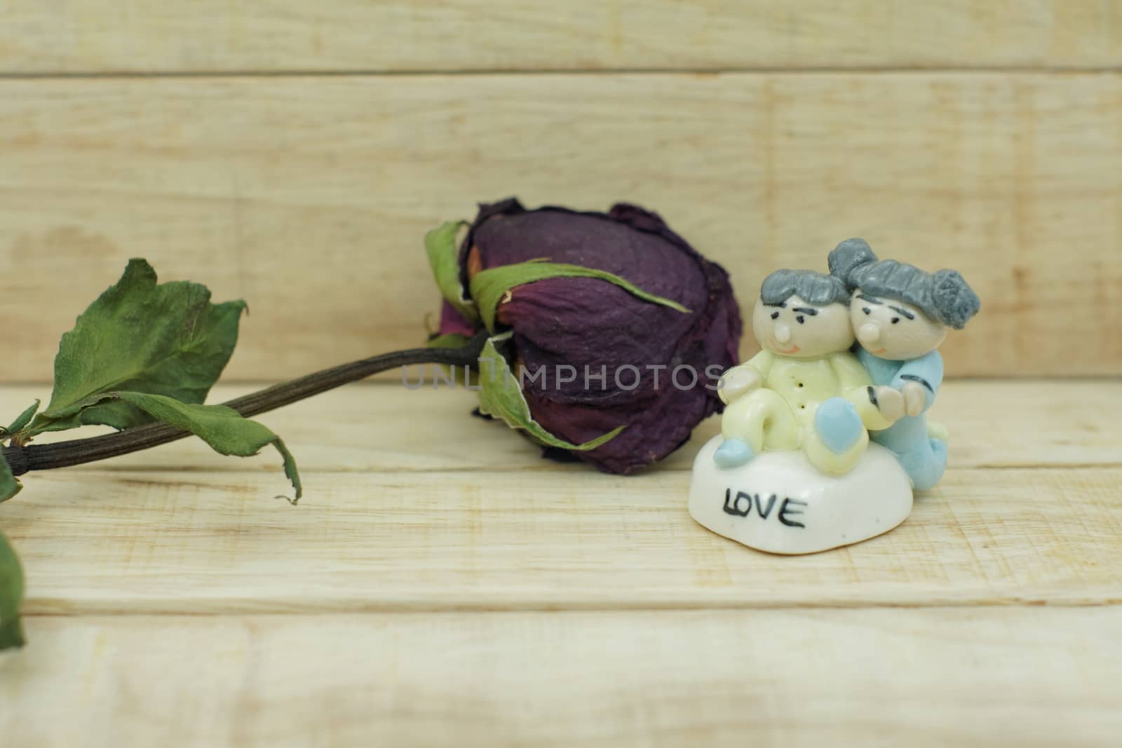 Dry roses and ceramic doll on wood pattern background. Dry roses with boy and girl ceramic doll with love text on wood background.