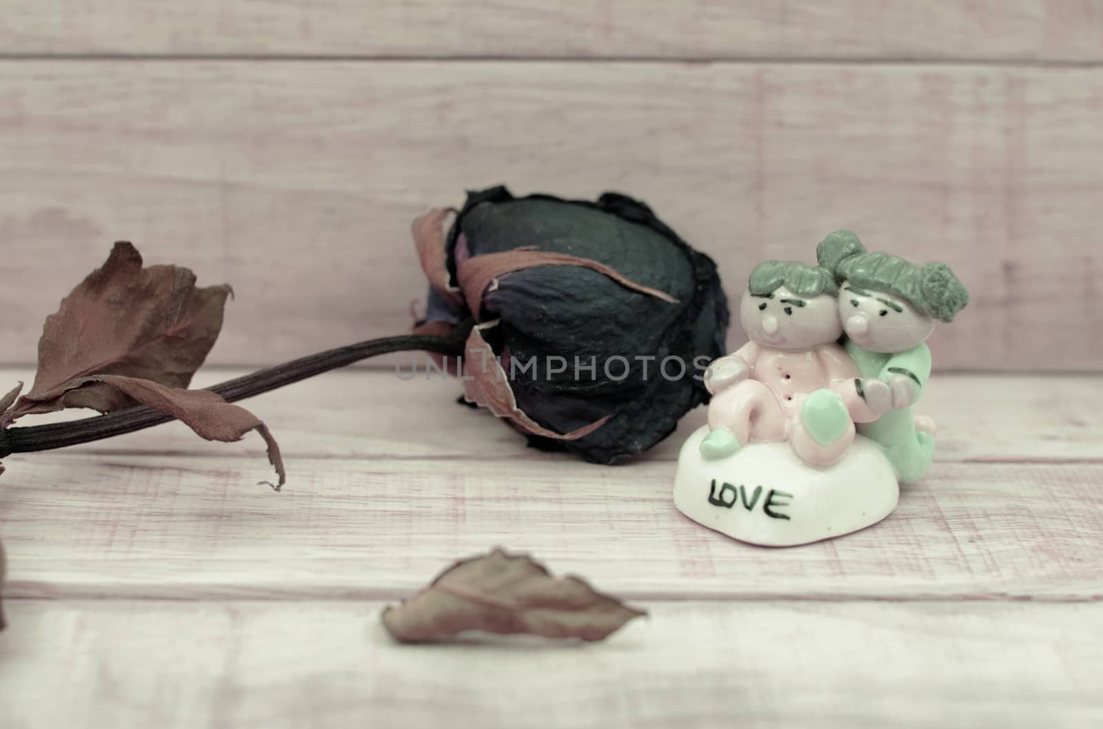 Dry roses and ceramic doll on wood pattern background. Dry roses with boy and girl ceramic doll with love text on wood background. Fill color effect in white balance.