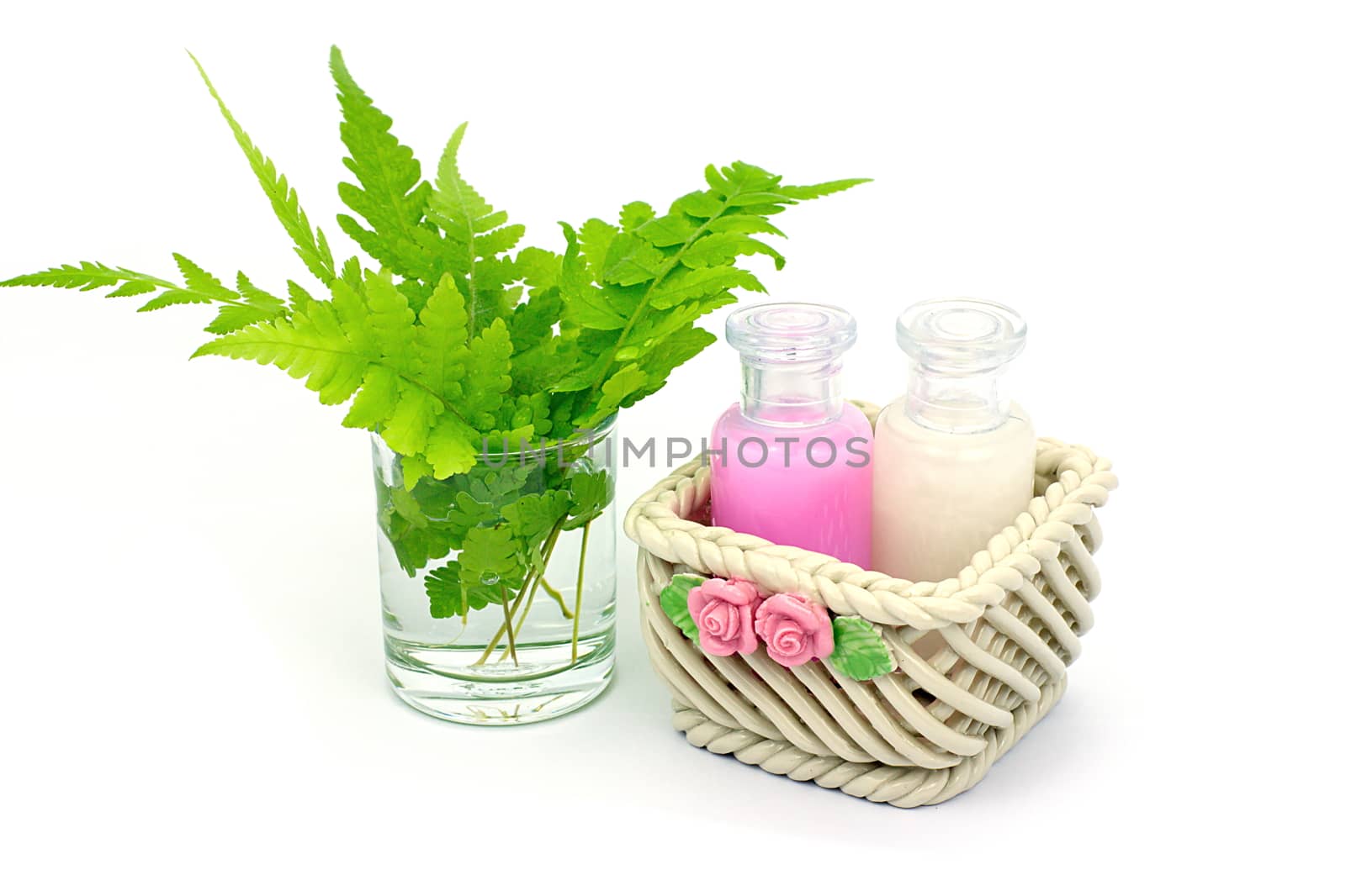 Shampoo and Shower gel put in ceramic basket on white background. Shampoo, Shower gel bottles with green leaves in a glass of water.