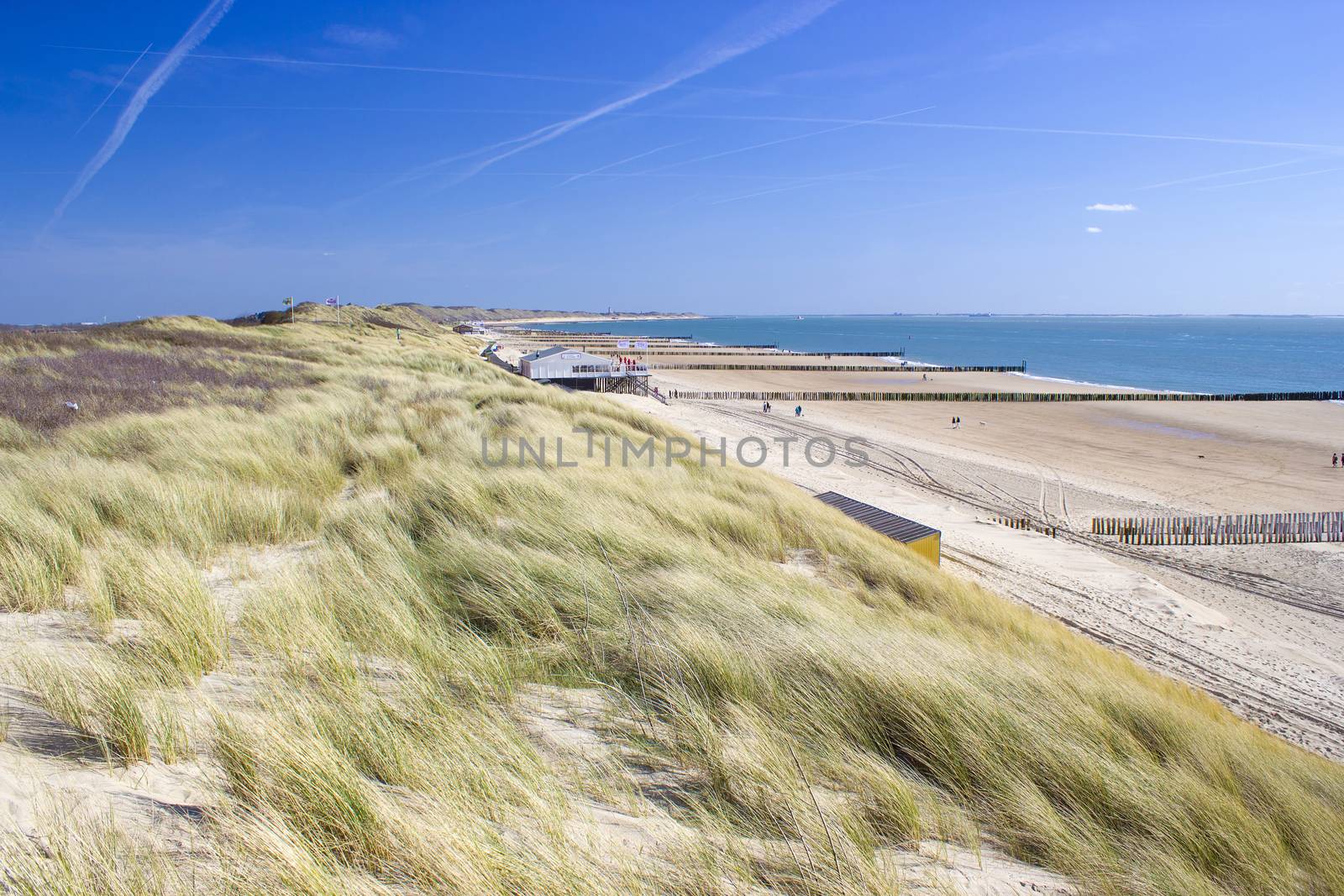 the dunes, Zoutelande, the Netherlands by miradrozdowski