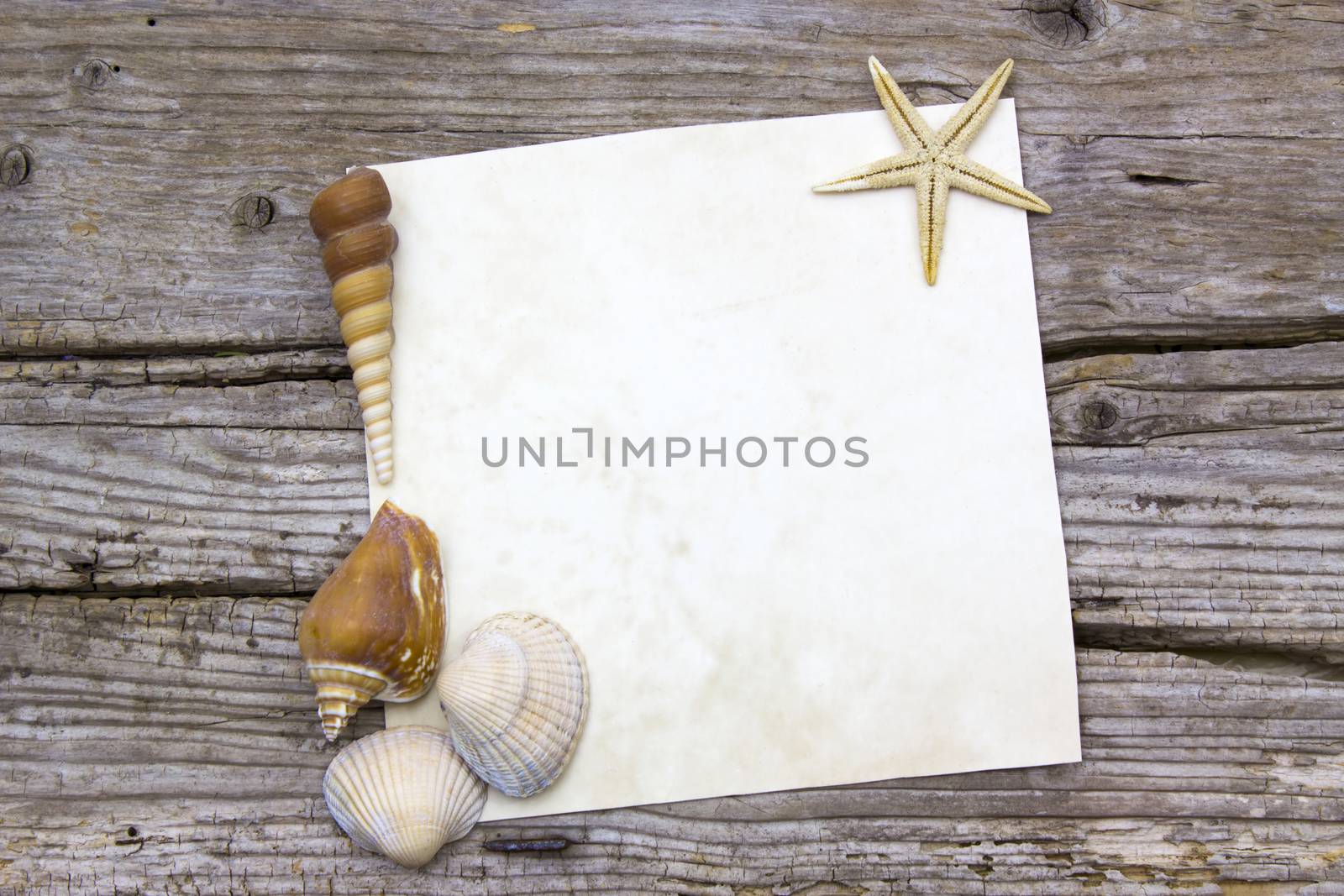 blank paper on wooden background with seashells