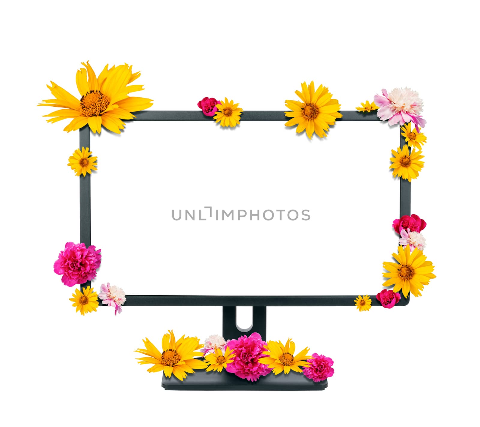 Monitor with flowers isolated on white background