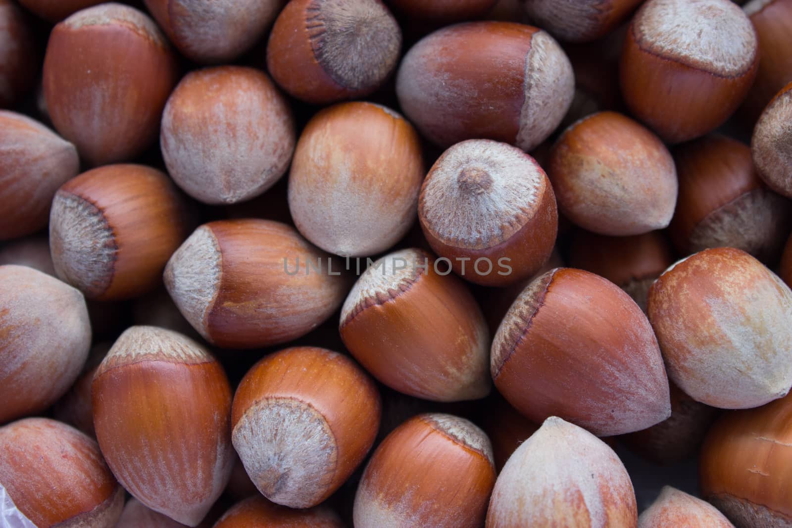 brown, orange hazelnuts with shells on table