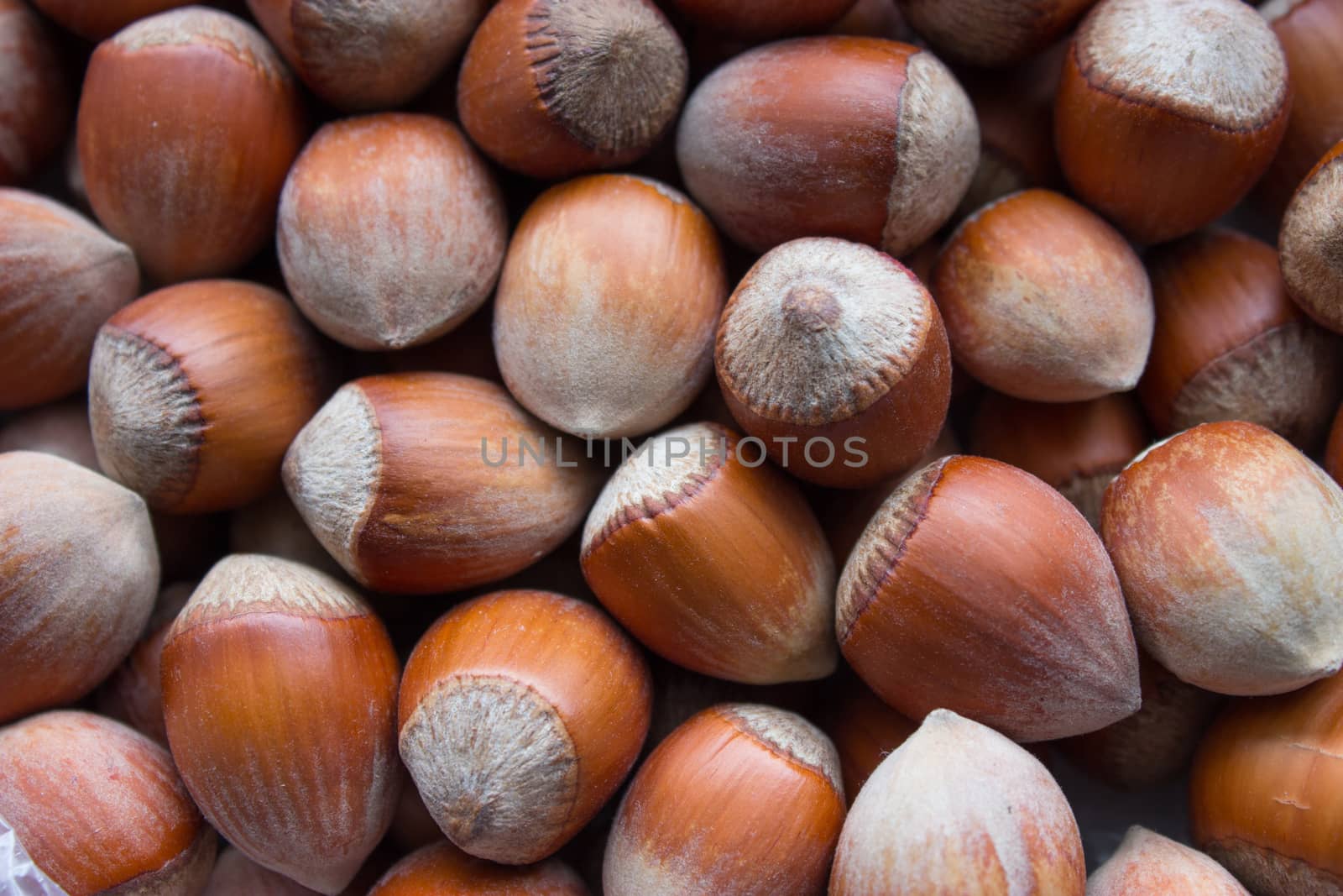 brown, orange hazelnuts with shells on table