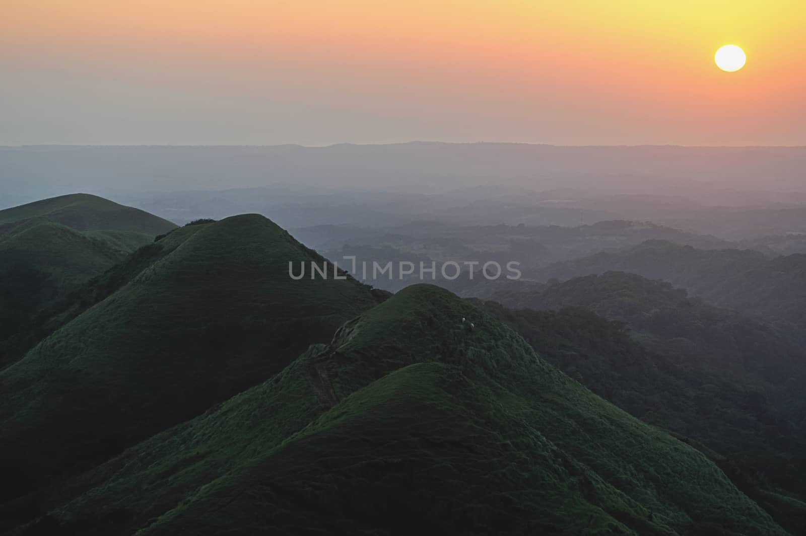 Green hill in orange light of sunset sun