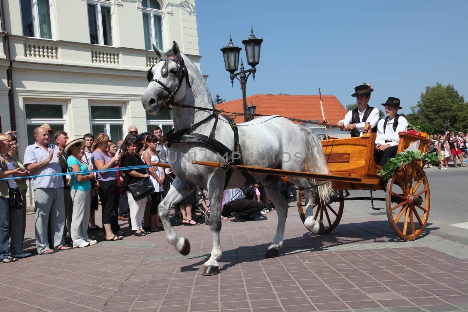 Horse and wedding wagon show during Dakovo vezovi (Dakovo Summer Festival) on July 05, 2009 in Dakovo, Croatia