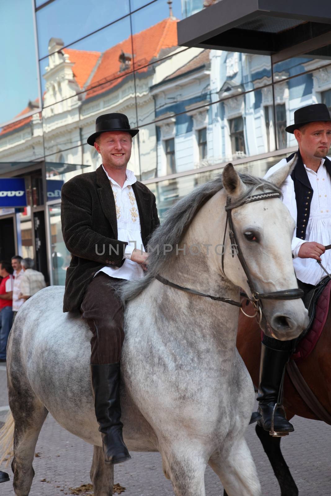 Horse and wedding wagon show during Dakovo vezovi (Dakovo Summer Festival) on July 05, 2009 in Dakovo, Croatia