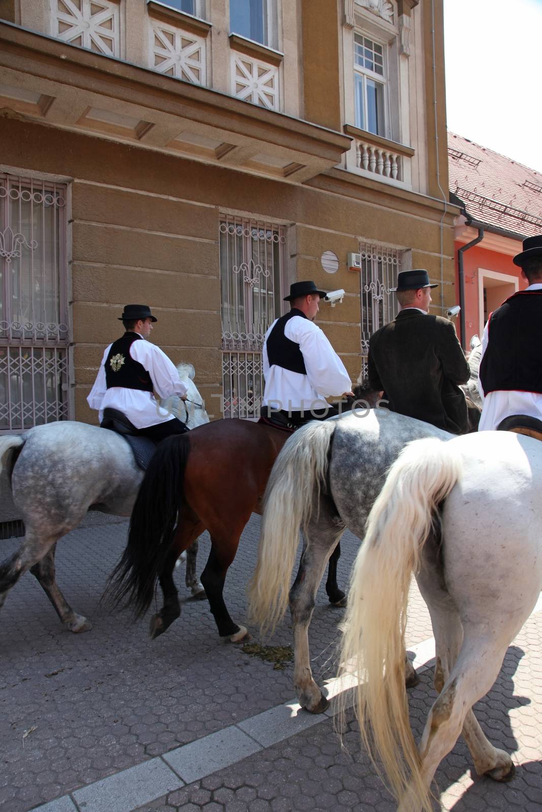 Horse and wedding wagon show during Dakovo vezovi (Dakovo Summer Festival) on July 05, 2009 in Dakovo, Croatia