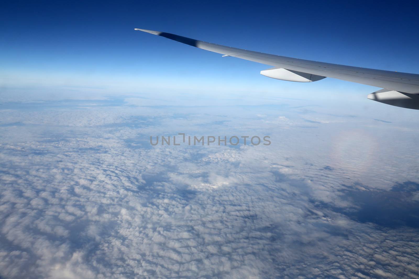 Wing of airplane