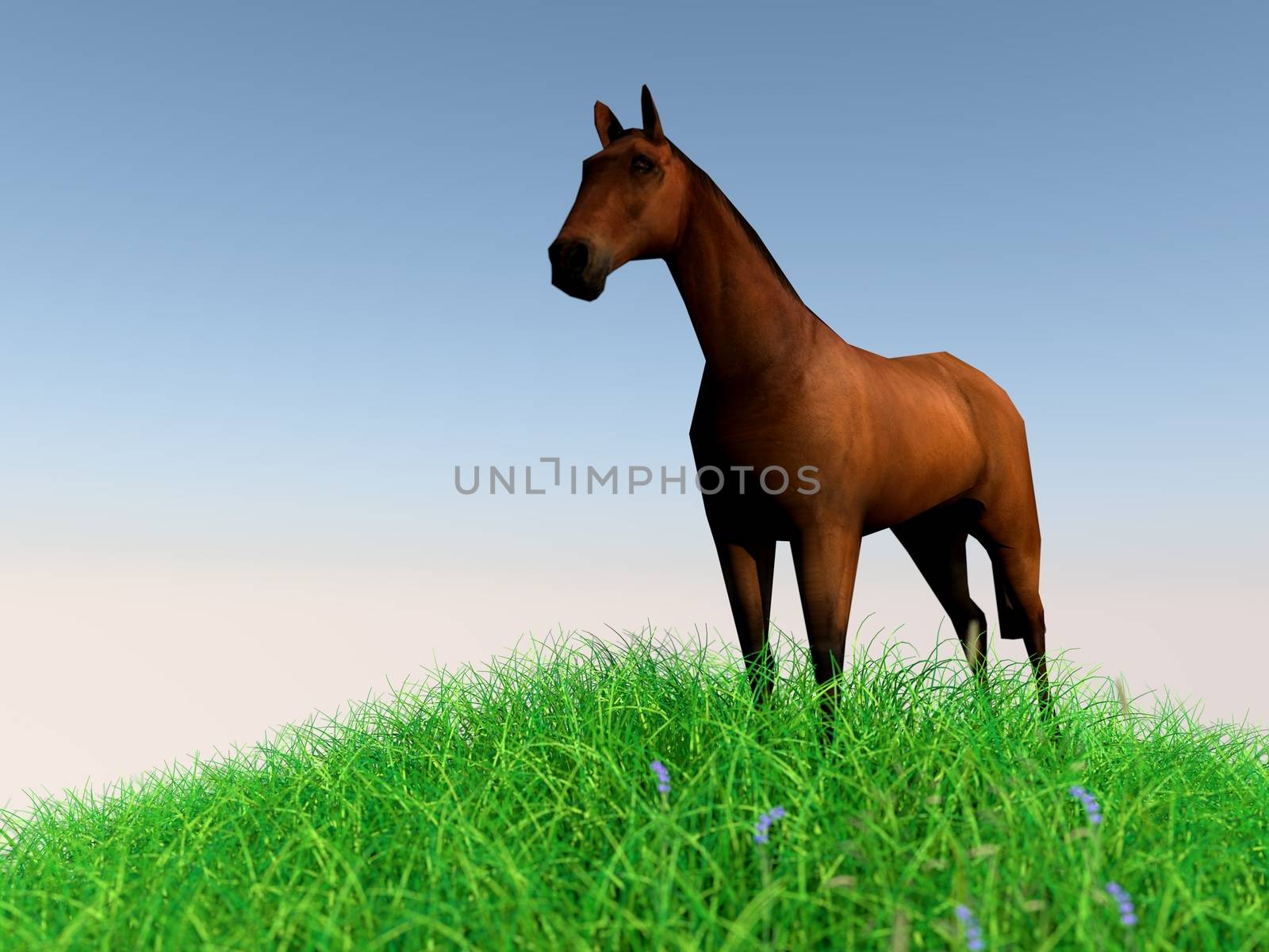 3d rendering of animal on grass with back light with high quality render