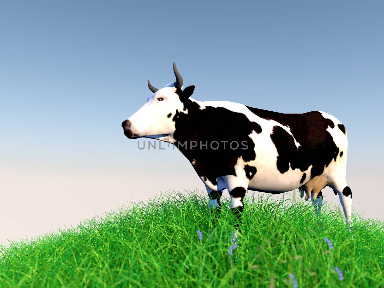 3d rendering of animal on grass with back light with high quality render