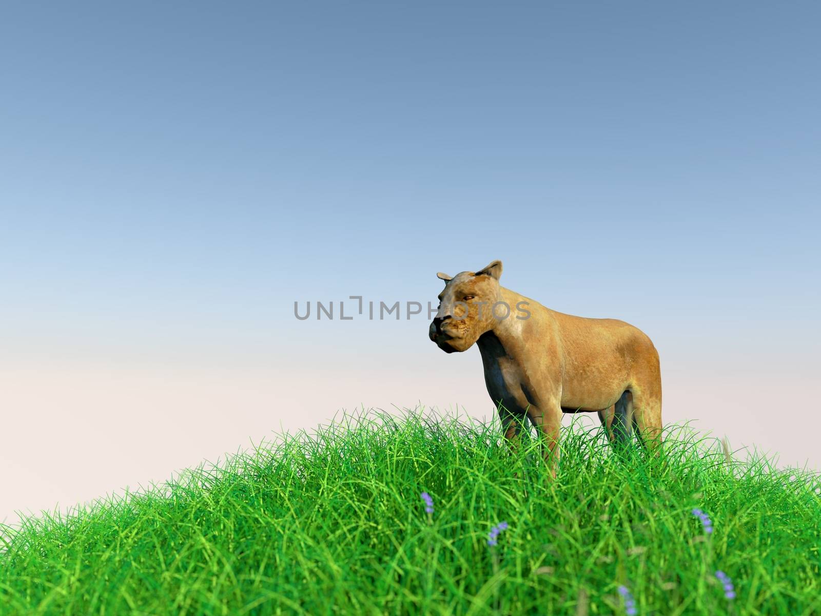 3d rendering of animal on grass with back light with high quality render