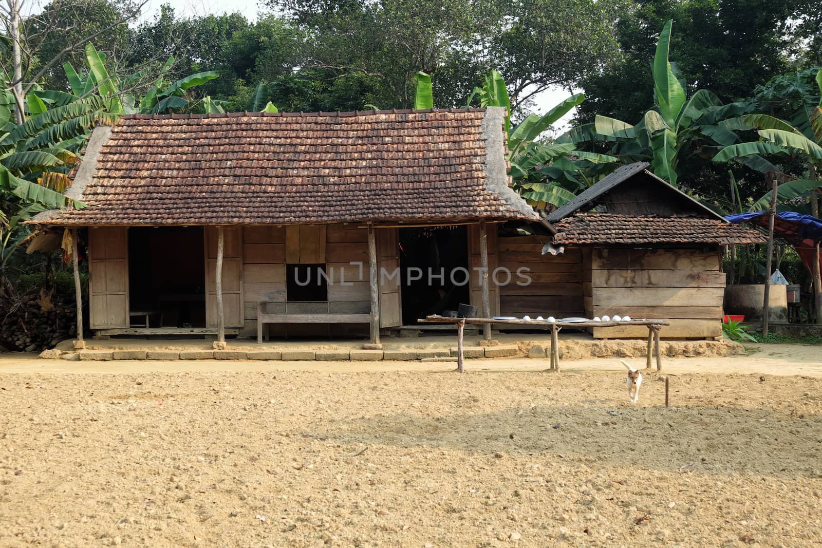 Two house at down of mountain at Bo Trach, Quang Binh, Viet Nam, home with agriculture farm, on amazing terrain at Vietnam countryside