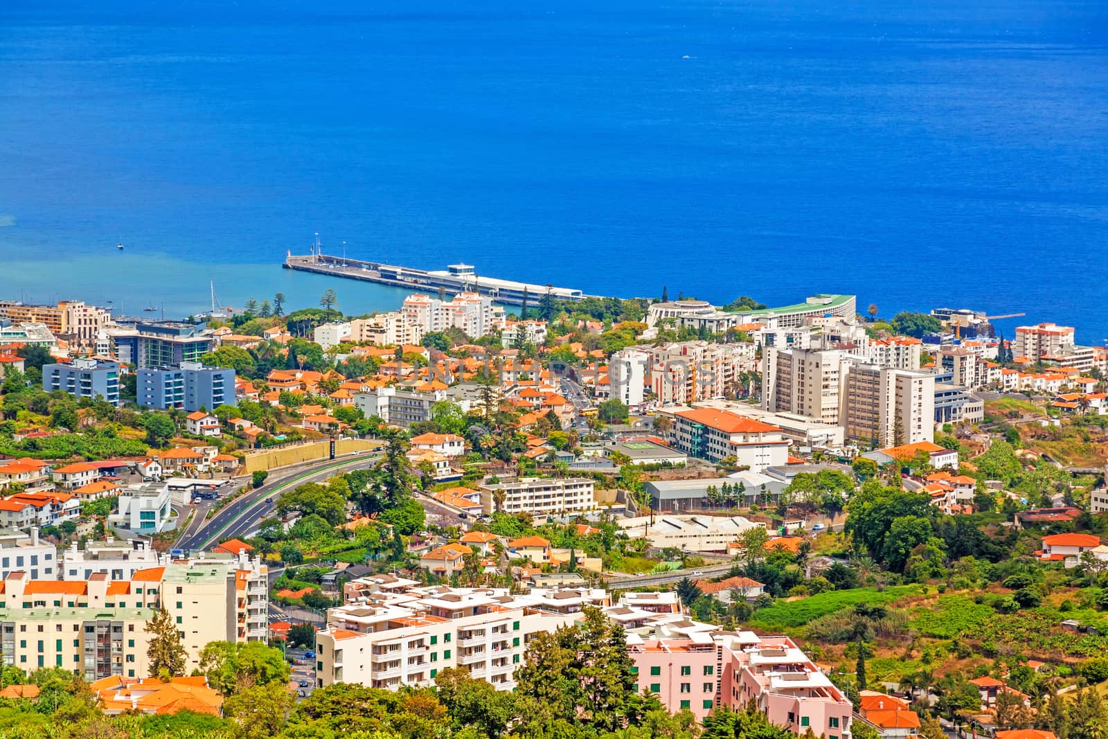 Funchal, Madeira by aldorado