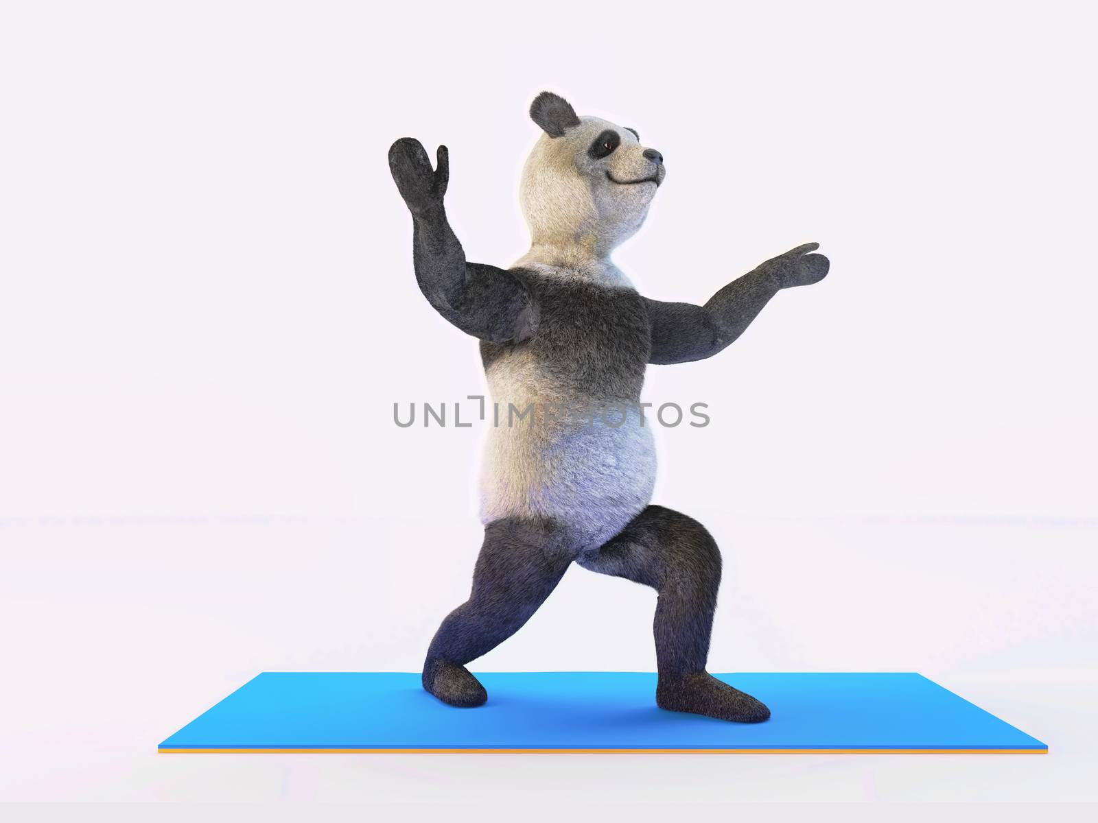 yogi panda character slightly crouched on hind legs. Front paws spread wide apart blue elastic mat gray background. realistic render illlustration animal fluffy serial personage download picture