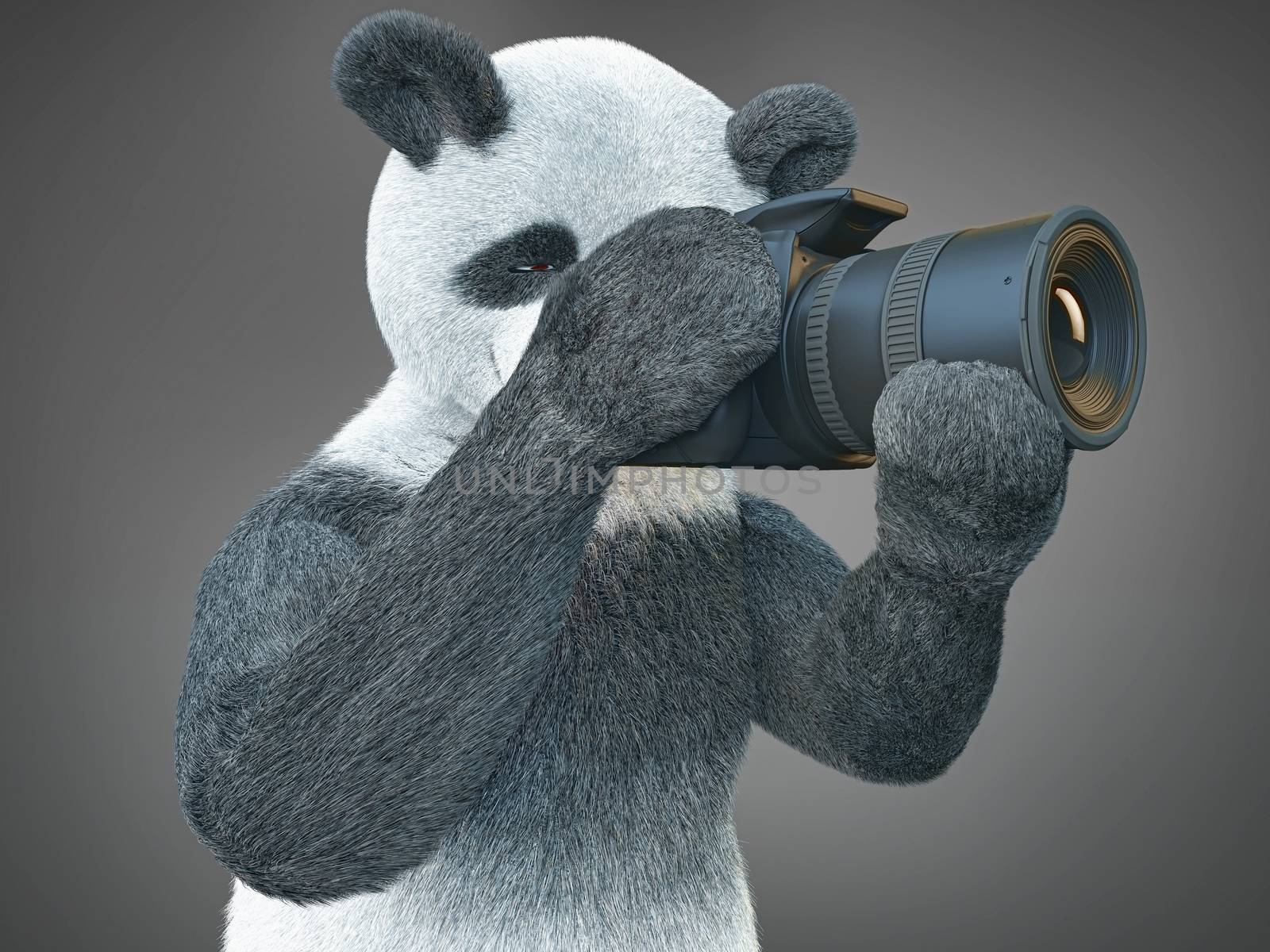 panda animail character photographer camera takes picture isolated background 3d cg render digital illustration by xtate