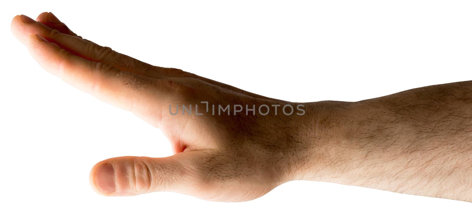 Human hand on isolated white background, closeup