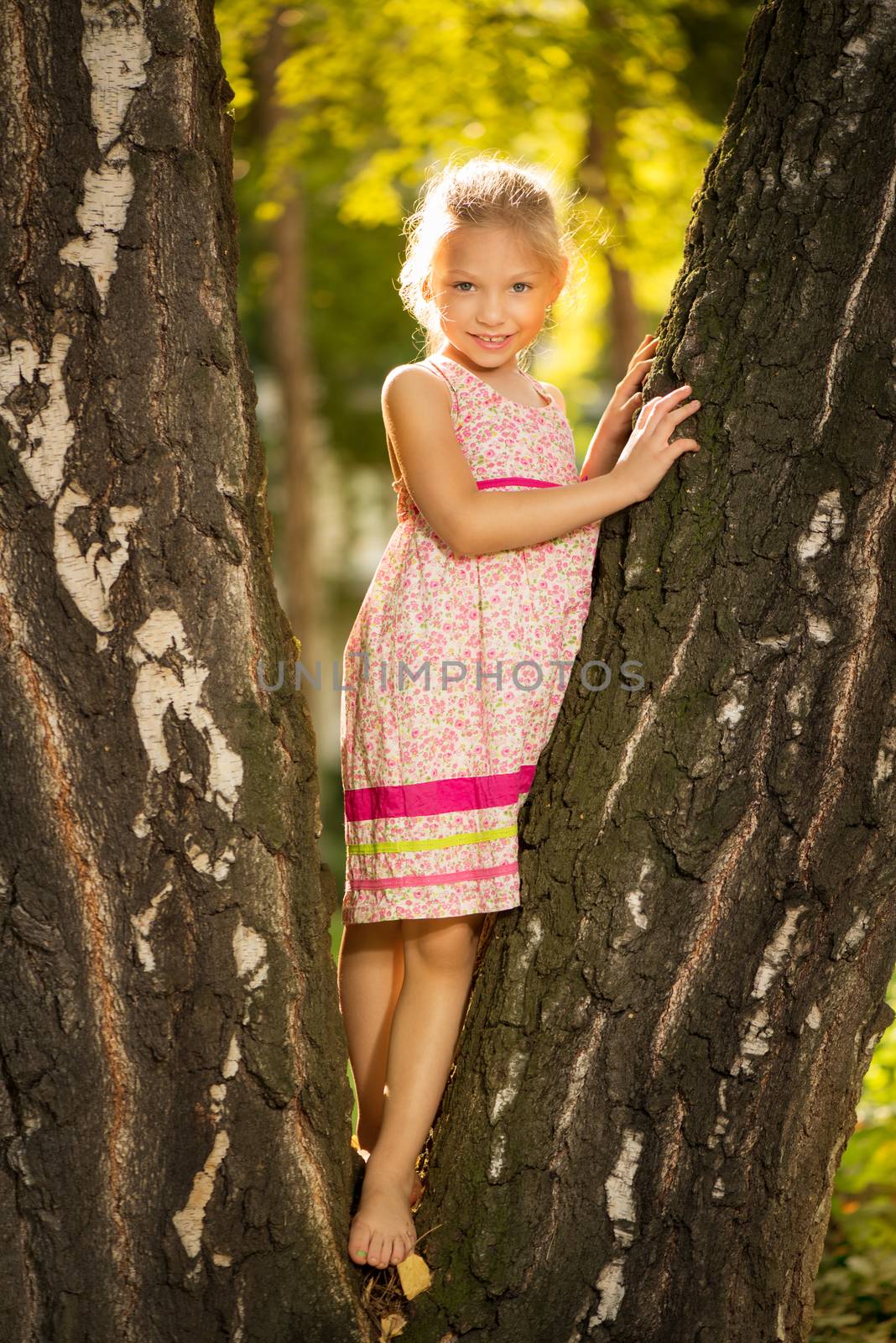 Cute little girl on the tree in the park
