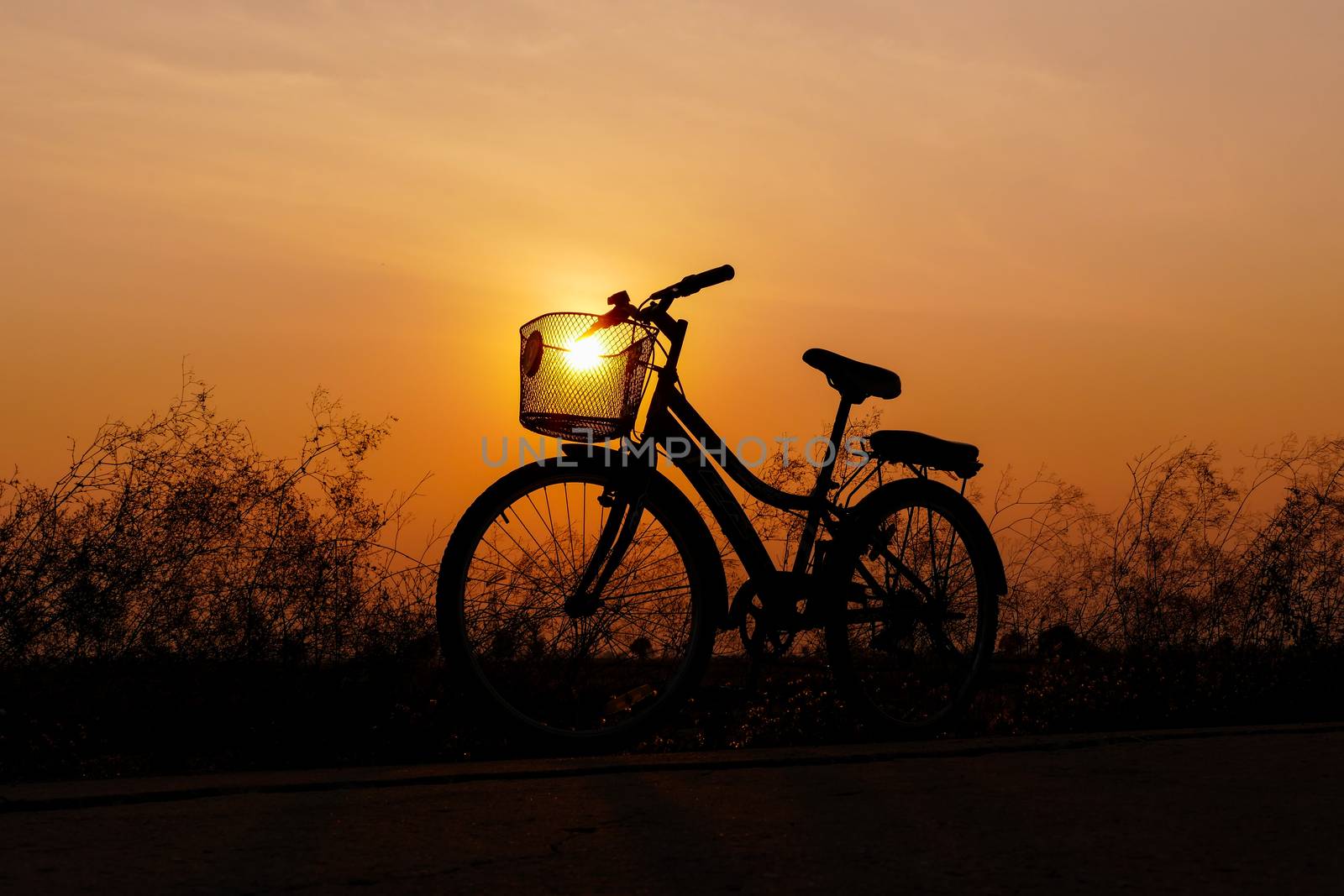 Bicycle on meadow at sunset.