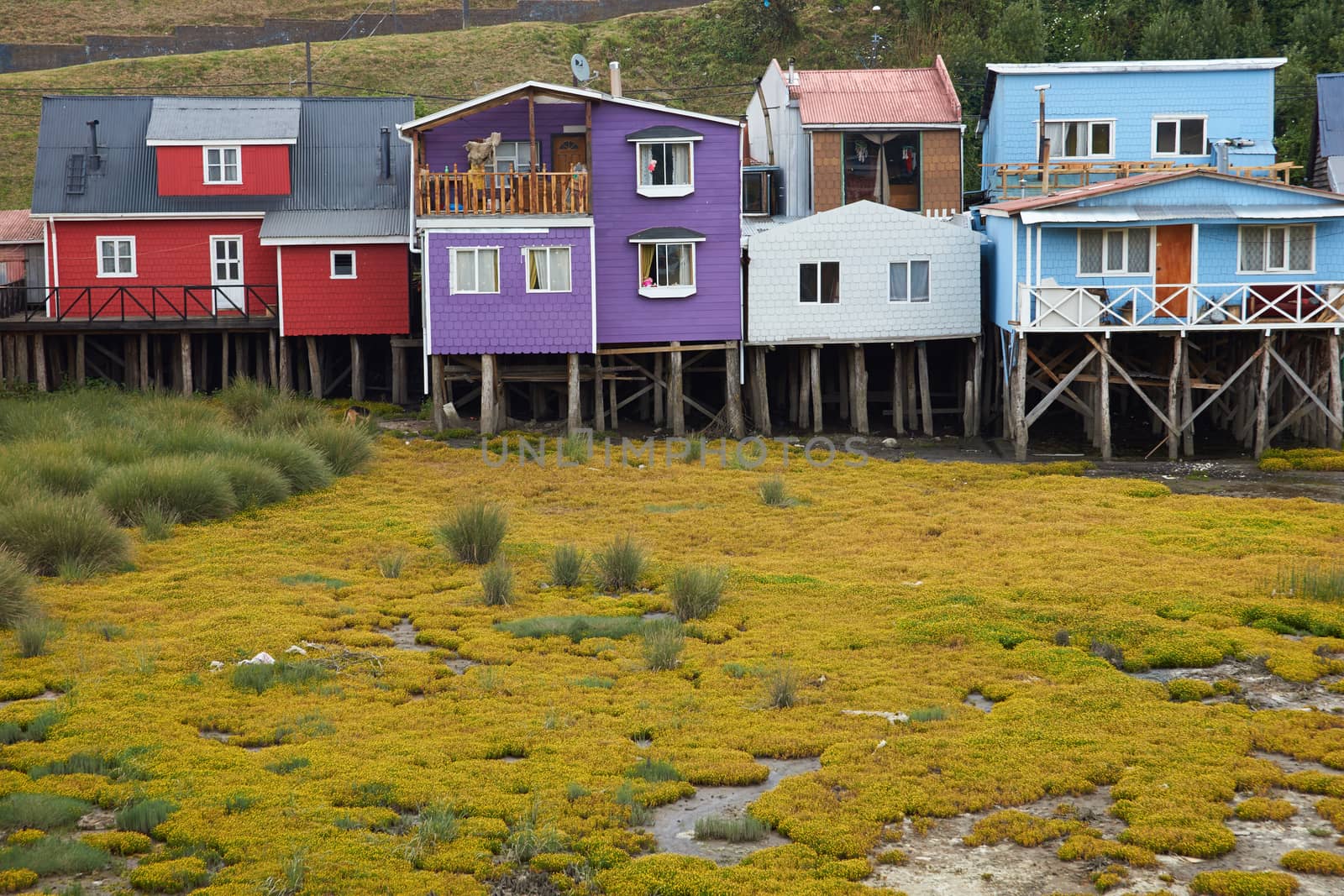 Palafitos. Traditional wooden houses built on stilts along the waters edge in Castro, capital of the Island of Chiloé. These traditional houses are made of wood and usually painted in bright colours.