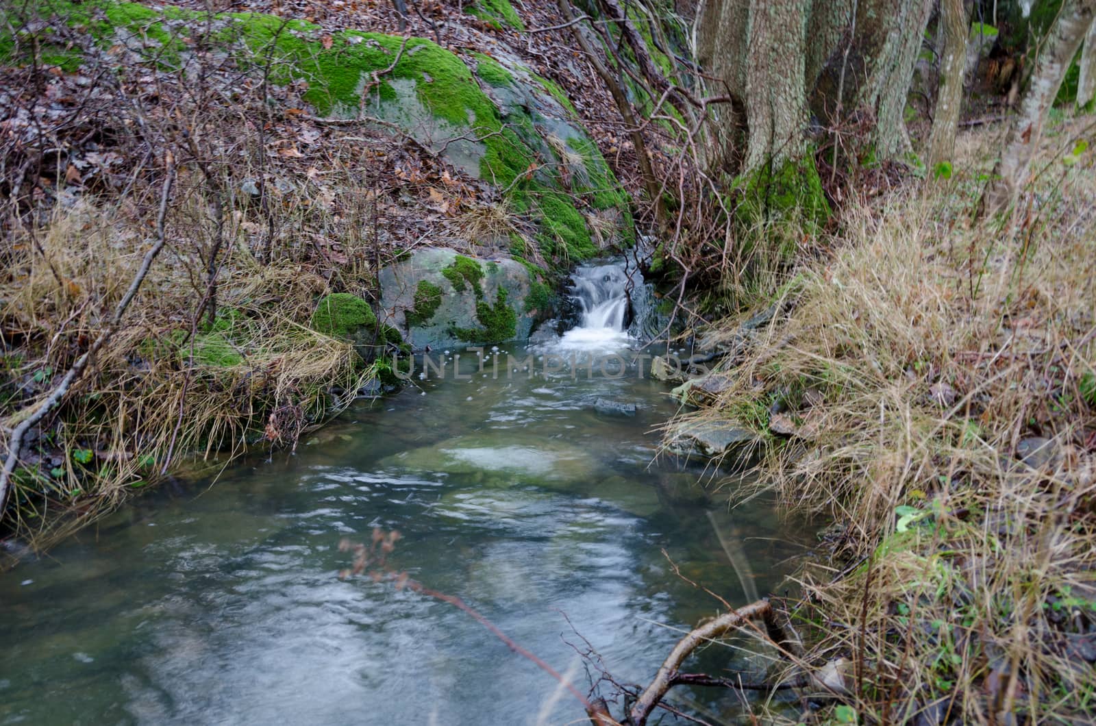 one little waterfall in the forrest and the water is streamingdown