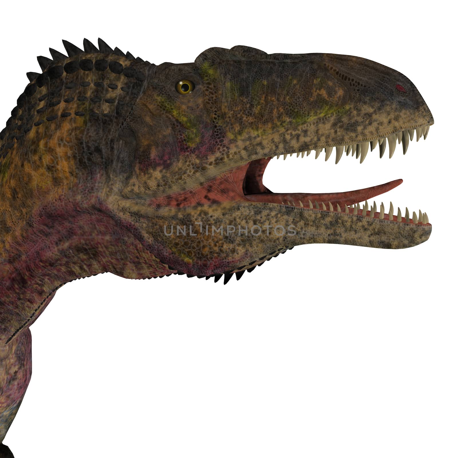 Acrocanthosaurus Dinosaur Head by Catmando