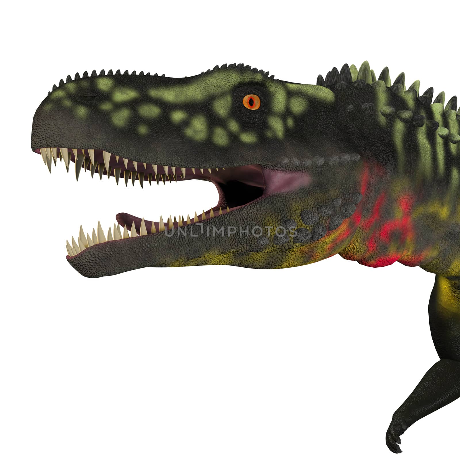 Arizonasaurus Dinosaur Head by Catmando