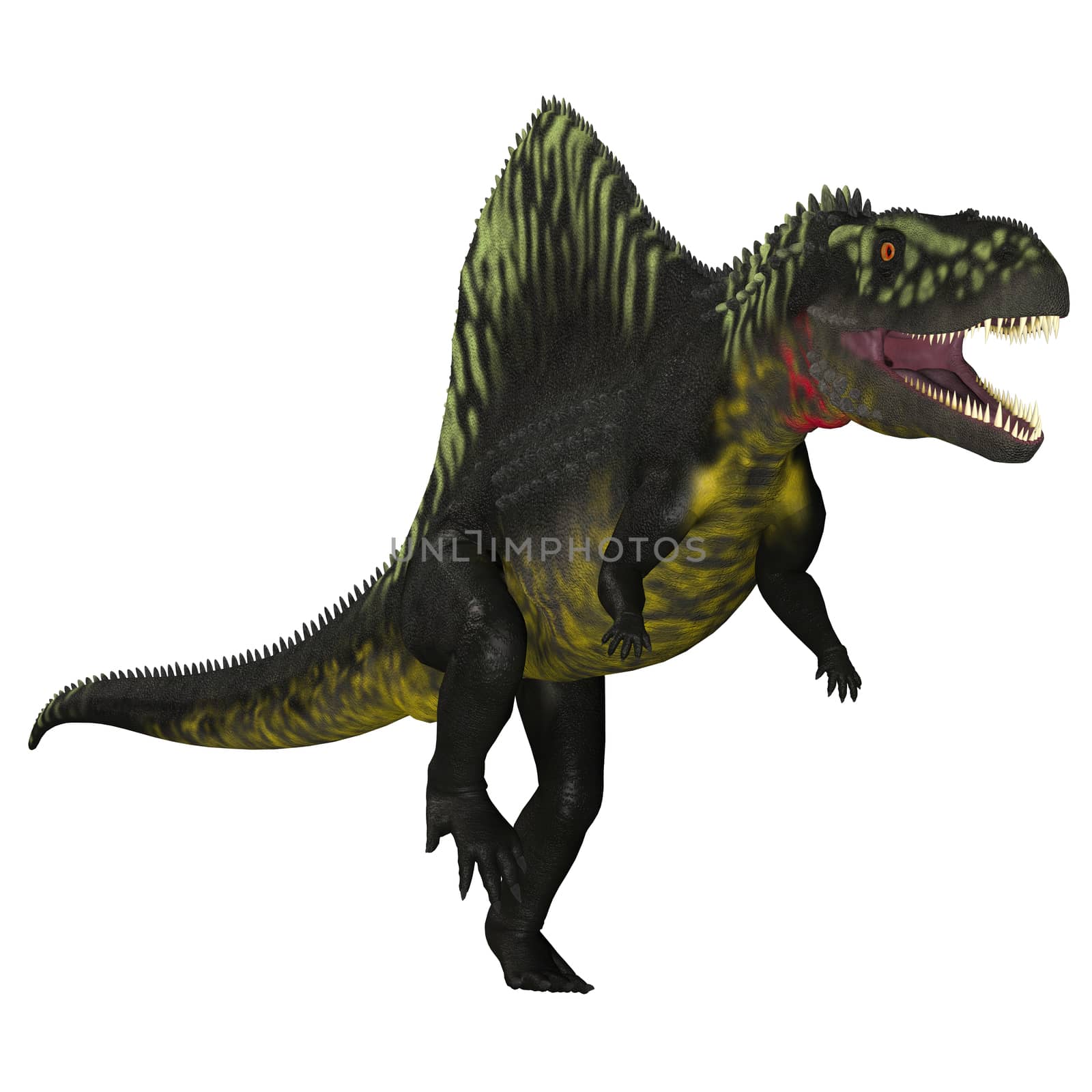 Arizonasaurus was a sailback carnivorous archosaur that lived in Arizona, North America in the Triassic Period.