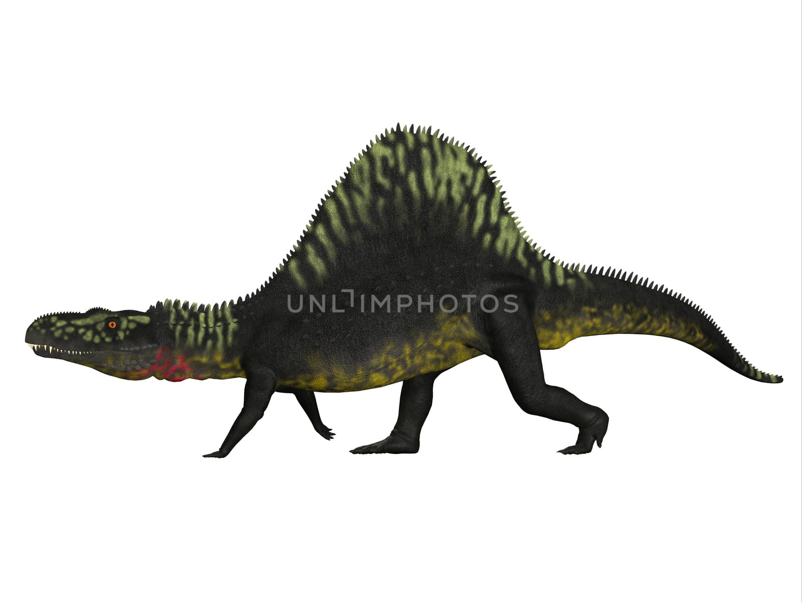 Arizonasaurus was a sailback carnivorous archosaur that lived in Arizona, North America in the Triassic Period.