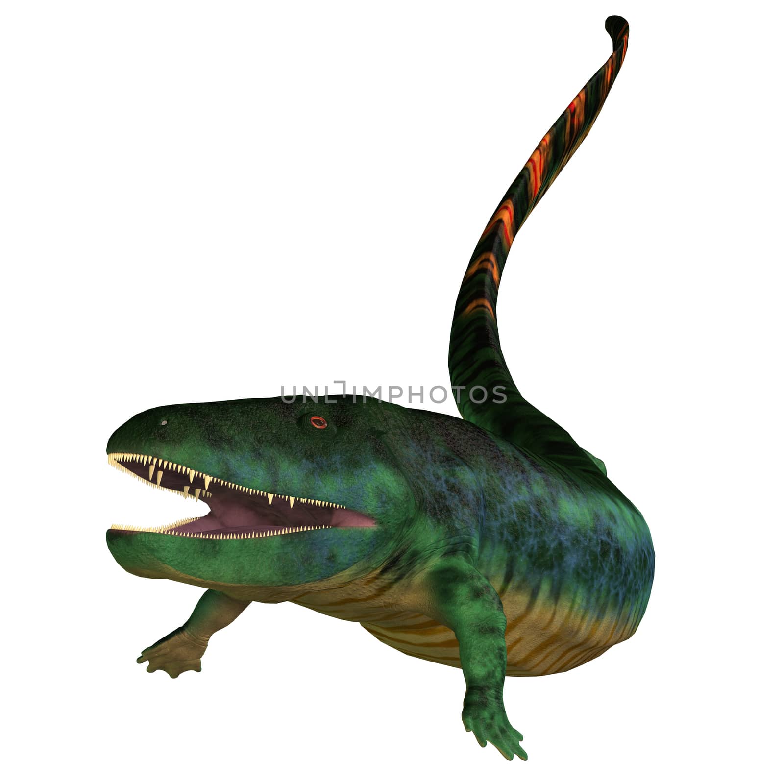 Eogyrinus was a aquatic predatory tetrapod that lived in the Carboniferous Period of England.