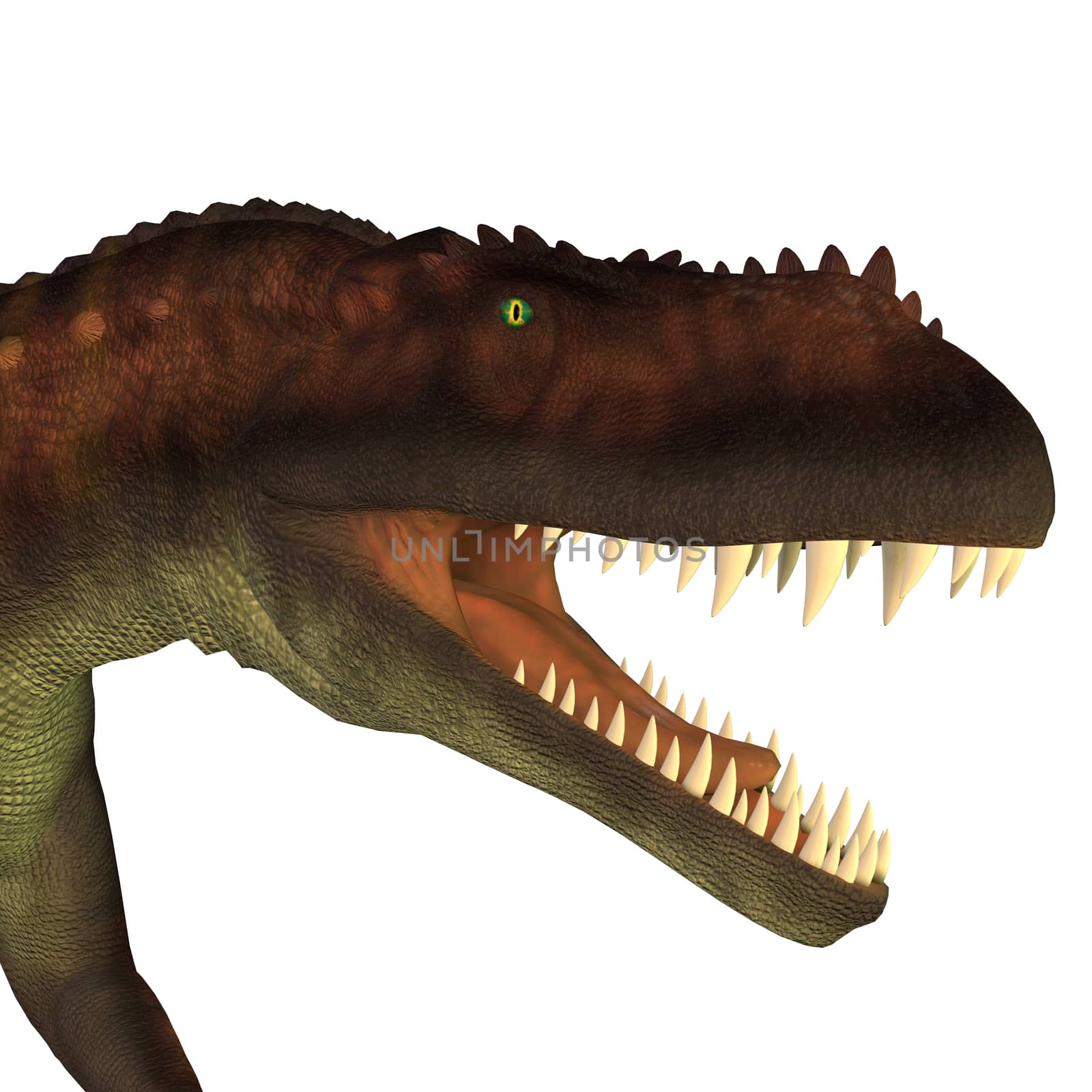 Prestosuchus Dinosaur Head by Catmando