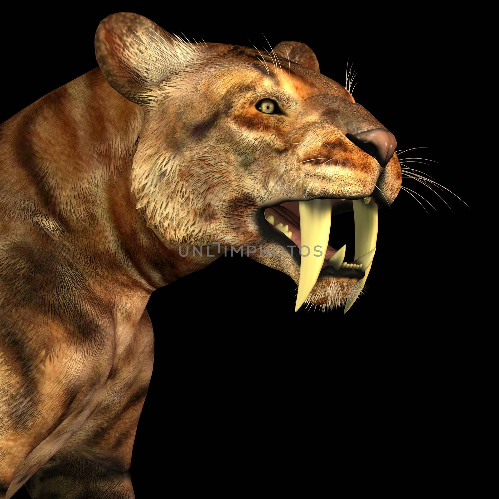 Saber-tooth Cat on Black by Catmando