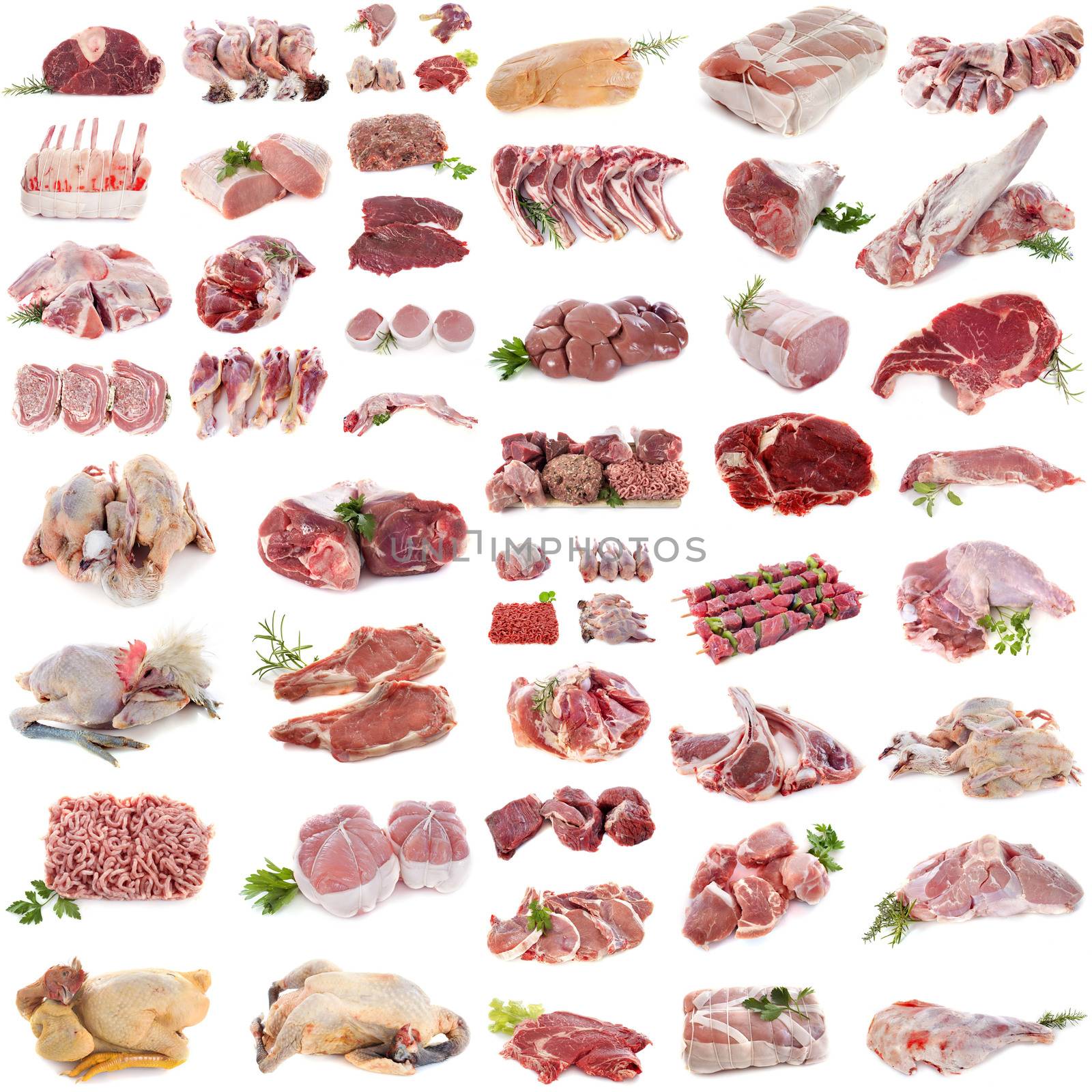 group of meat in front of white background