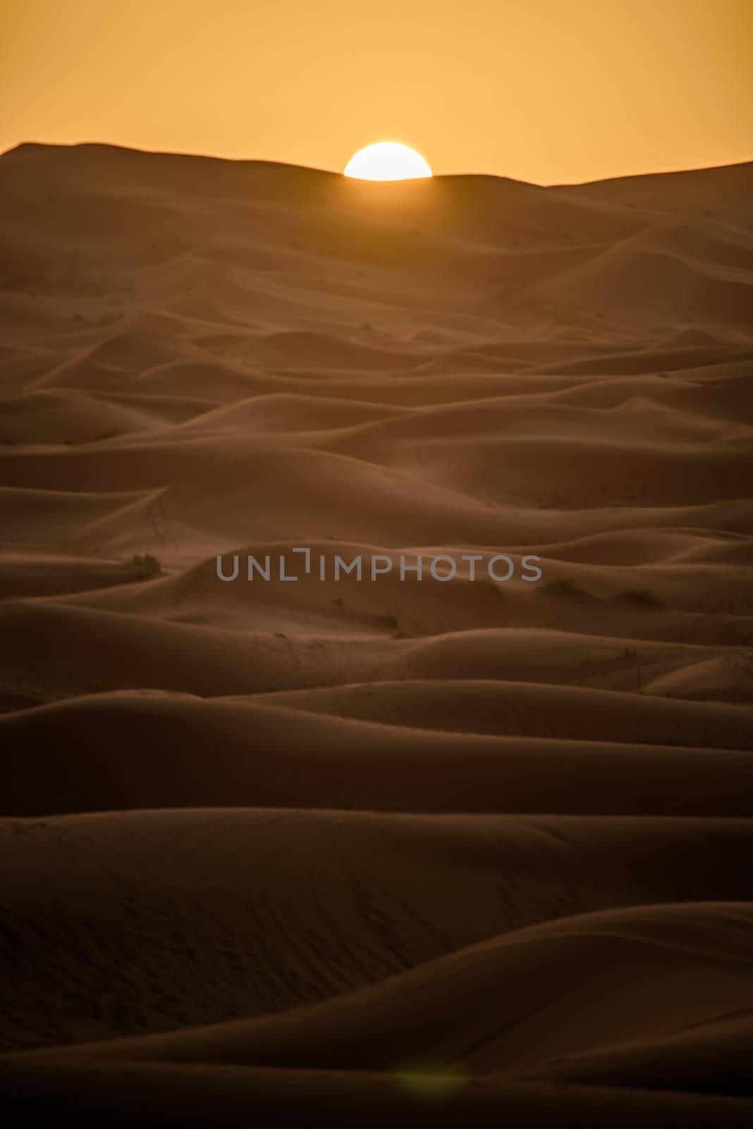 Sunrise over the dunes, Morocco, Sahara Desert by johnnychaos