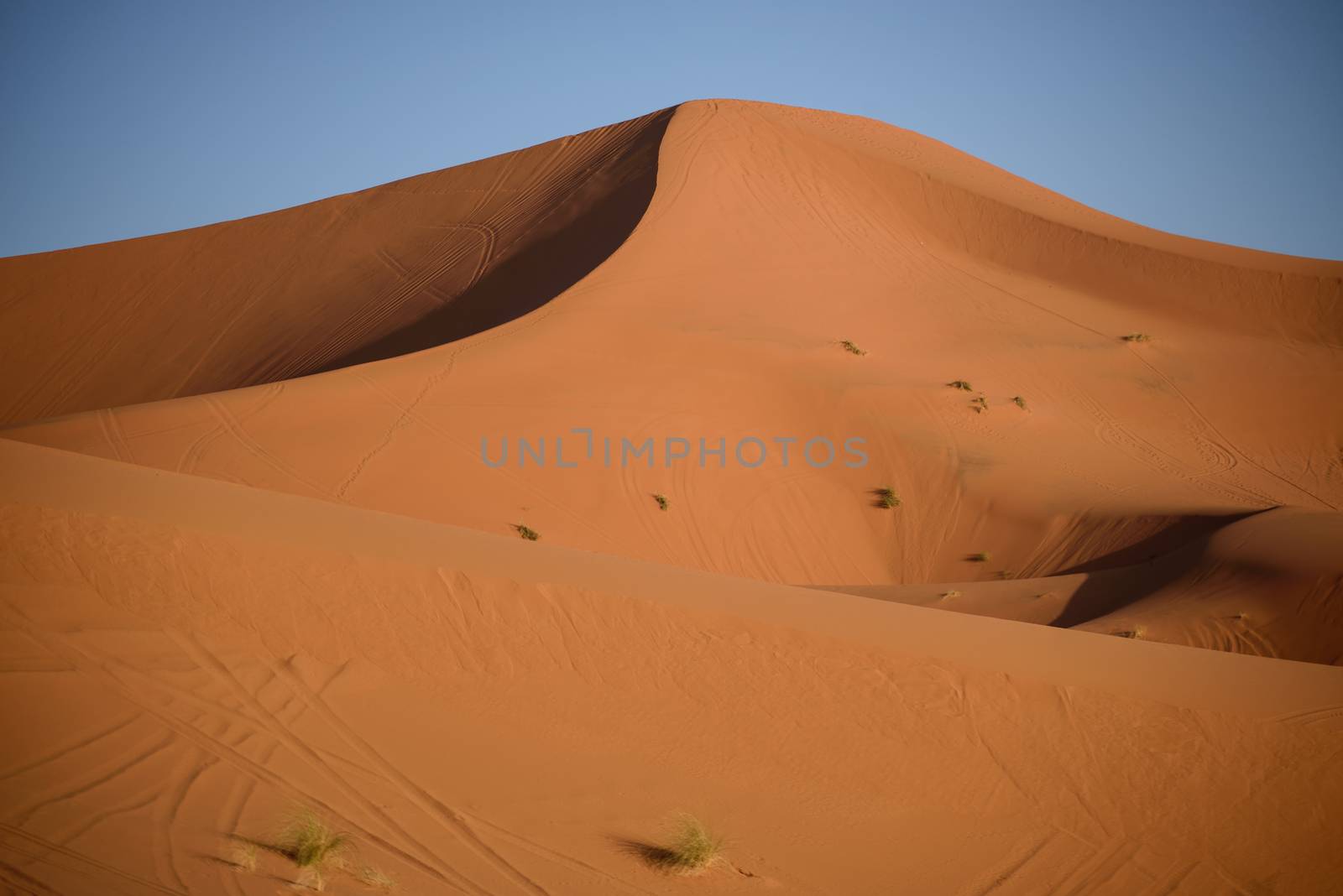 Sand dunes in the Sahara Desert, Erg Chebbi, Merzouga, Morocco