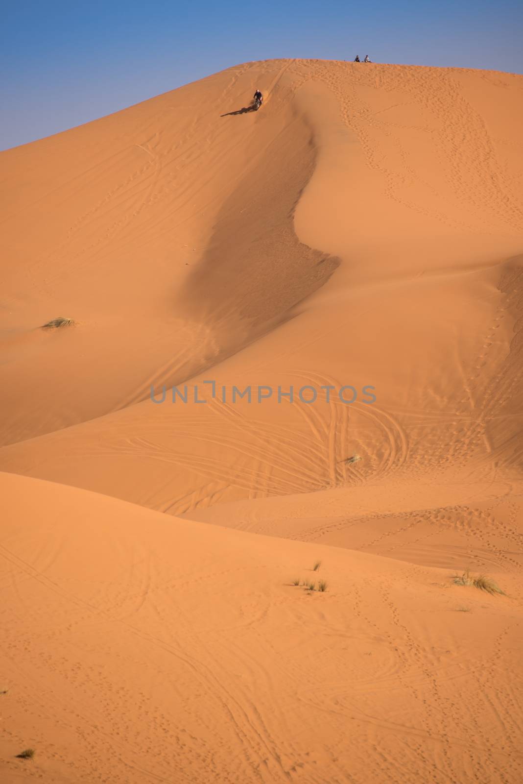 Dunes, Morocco, Sahara Desert by johnnychaos