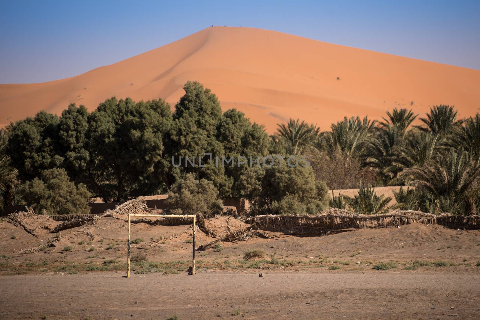 Village garden and football field in Hassilabied, Erg Chebbi, Sahara Desert, Moroco