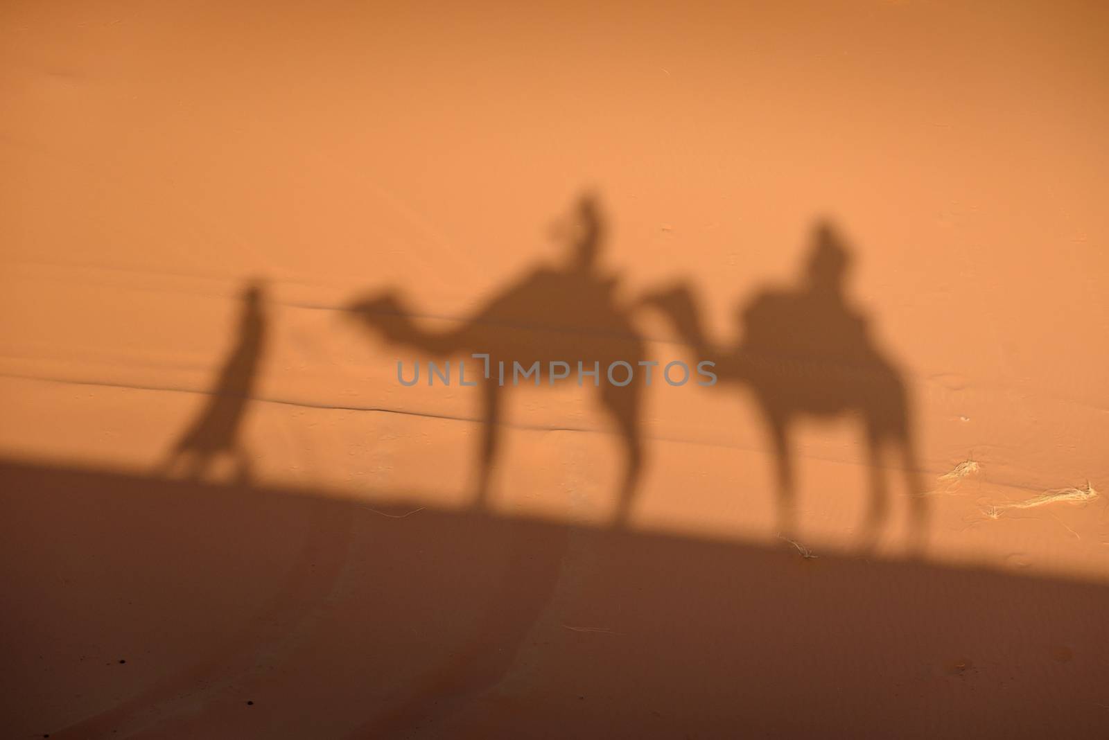 Camel shadows on Sahara Desert sand in Morocco. by johnnychaos