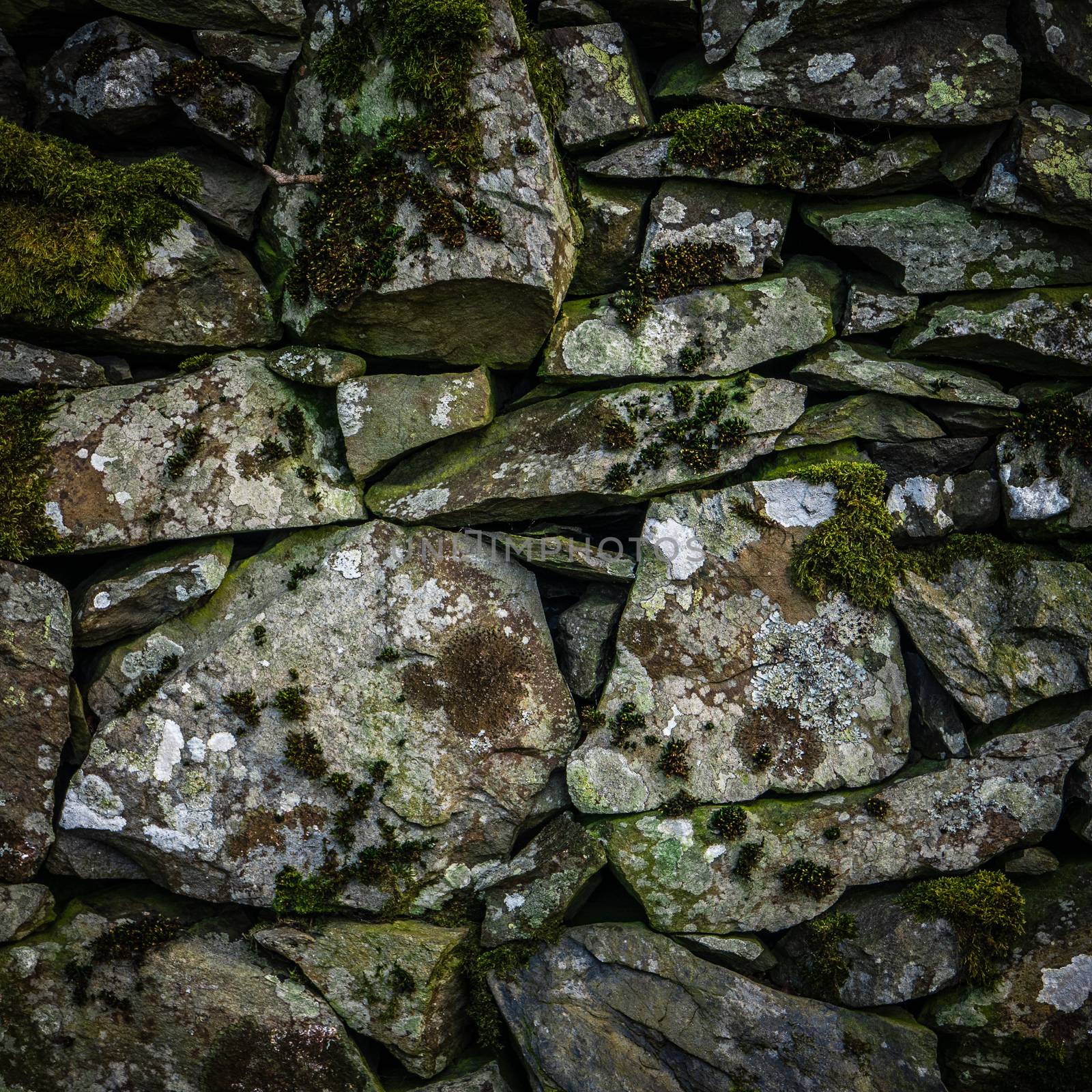 Old Dry Stone Wall by mrdoomits